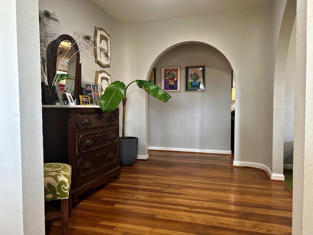 102 Mockingbird Ln, Arkadelphia, AR 71923 - corridor with arched walkways and wood finished floors
