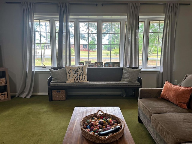 102 Mockingbird Ln, Arkadelphia, AR 71923 - carpeted living room with baseboards