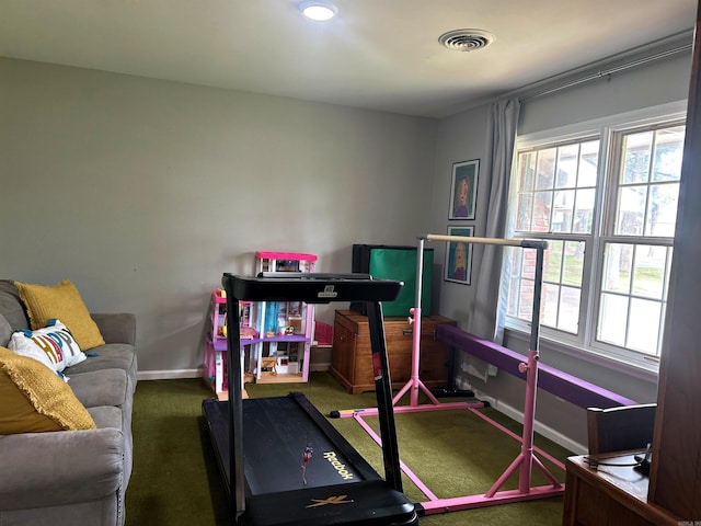 102 Mockingbird Ln, Arkadelphia, AR 71923 - exercise room featuring carpet and baseboards