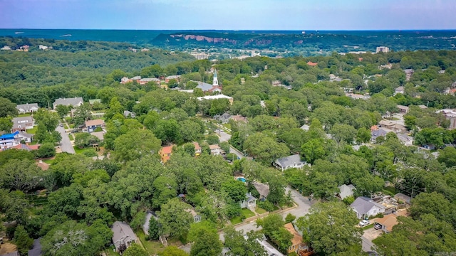 4106 C St, Little Rock, AR 72205 - bird's eye view of a forest