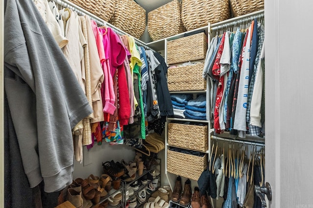 27 Magnolia Ln, Ward, AR 72176 - view of walk in closet