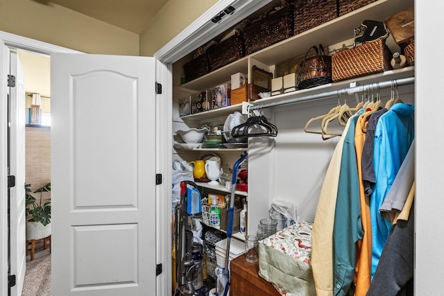 27 Magnolia Ln, Ward, AR 72176 - view of closet