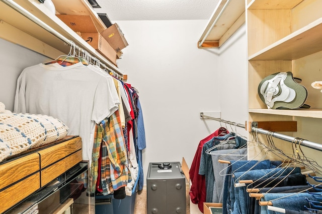 114 Woodiel Cir, Cabot, AR 72023 - view of spacious closet