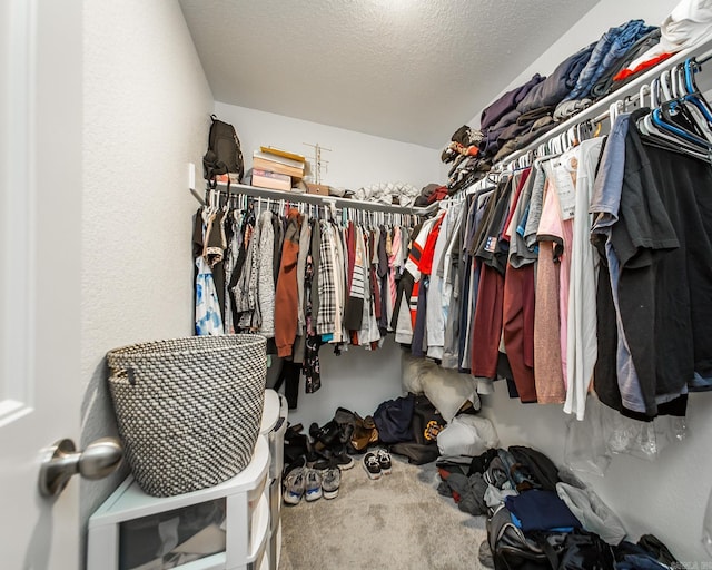 53 Dunnaway Dr, Ward, AR 72176 - walk in closet featuring carpet