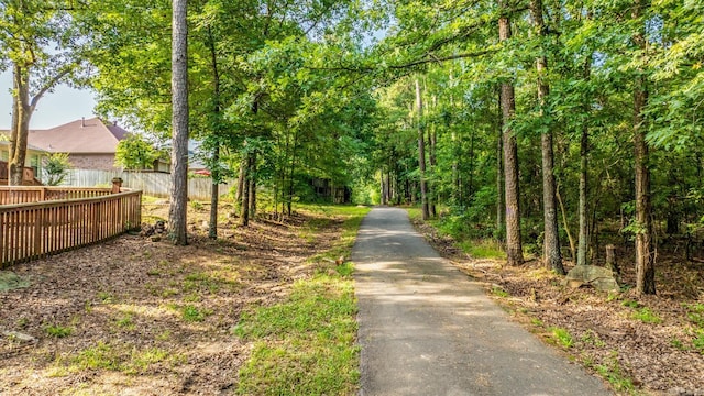 181 Diamond Pointe Dr, Maumelle, AR 72113 - view of street