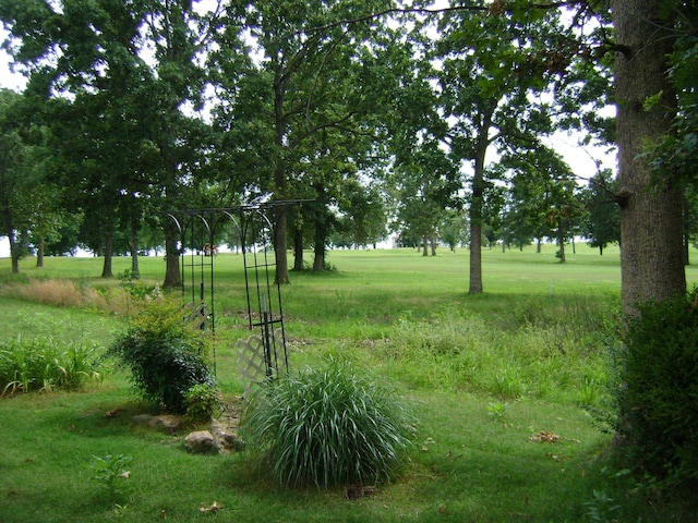 405 Fairway Dr, Horseshoe Bend, AR 72512 - view of grassy yard