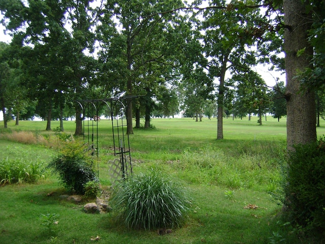 405 Fairway Dr, Horseshoe Bend, AR 72512 - view of grassy yard