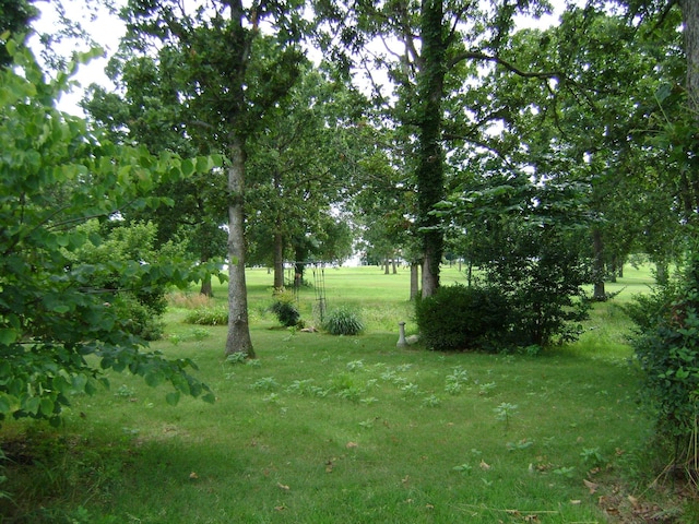405 Fairway Dr, Horseshoe Bend, AR 72512 - view of grassy yard