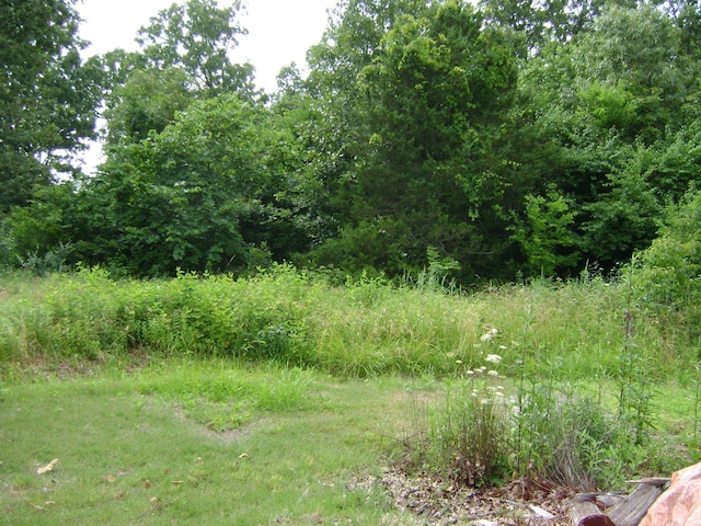 405 Fairway Dr, Horseshoe Bend, AR 72512 - view of undeveloped land