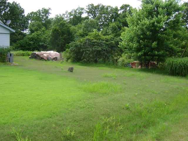 405 Fairway Dr, Horseshoe Bend, AR 72512 - view of yard