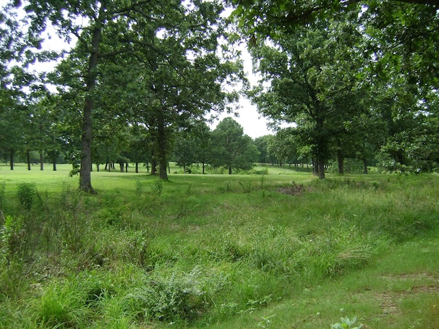 405 Fairway Dr, Horseshoe Bend, AR 72512 - view of nature