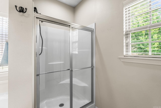full bathroom featuring a shower stall and plenty of natural light