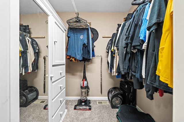 232 Alydar Trl, Hot Springs, AR 71901 - spacious closet featuring carpet floors