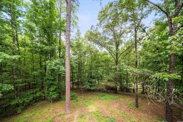 232 Alydar Trl, Hot Springs, AR 71901 - view of yard featuring a wooded view