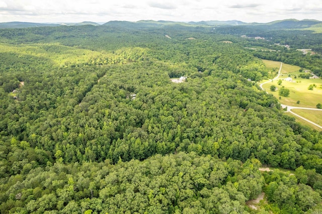 232 Alydar Trl, Hot Springs, AR 71901 - drone / aerial view of a forest and a mountainous background