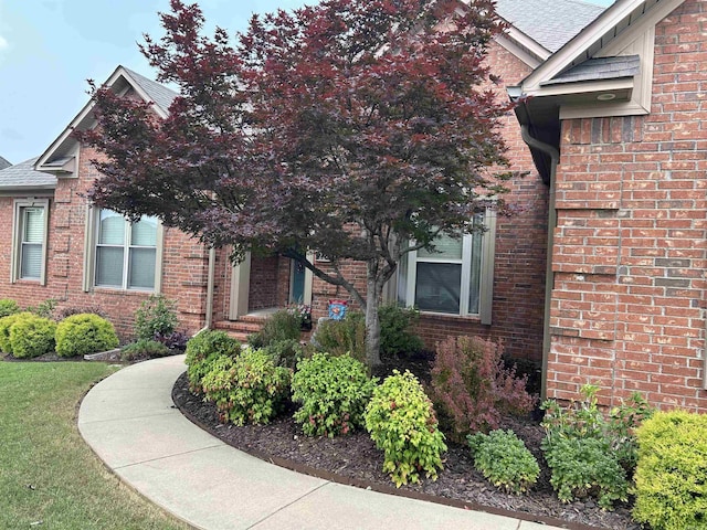 2205 Vermont St, Conway, AR 72034 - property entrance featuring brick siding and roof with shingles