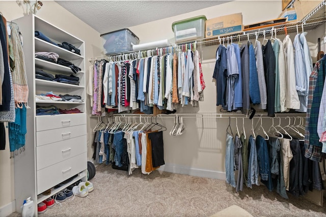 113 Friendship Ln, Beebe, AR 72012 - walk in closet featuring carpet