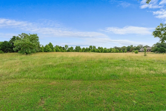 113 Friendship Ln, Beebe, AR 72012 - view of undeveloped land featuring rural landscape