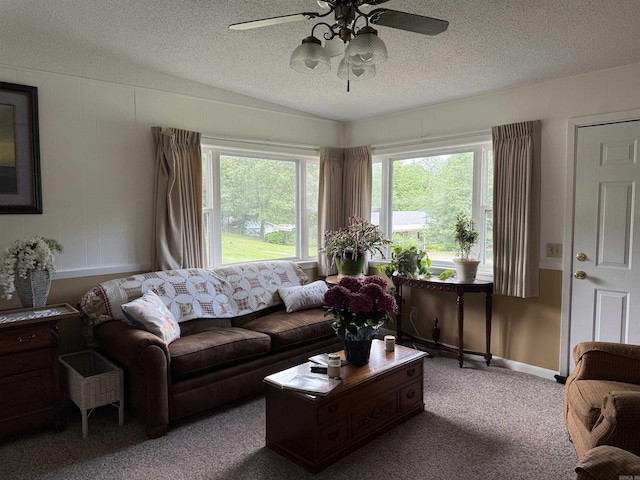 510 N 4th St, Heber Springs, AR 72543 - carpeted living room with ceiling fan and a textured ceiling