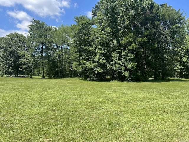 5942 Joey Ln, Texarkana, AR 71854 - view of grassy yard
