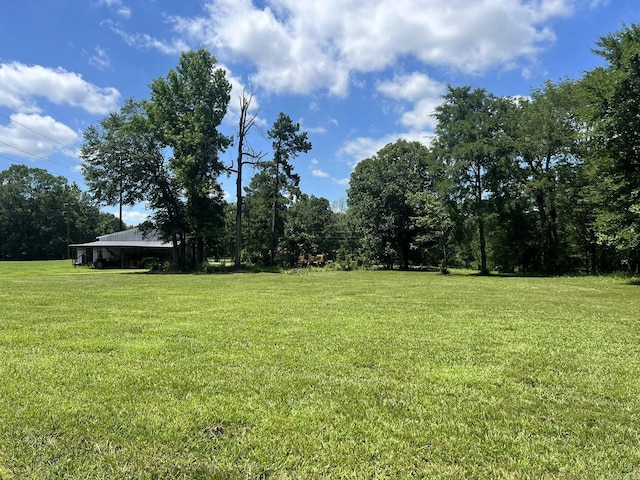 5942 Joey Ln, Texarkana, AR 71854 - view of grassy yard