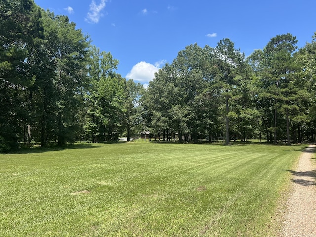 5942 Joey Ln, Texarkana, AR 71854 - view of grassy yard