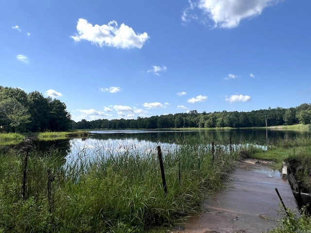 5942 Joey Ln, Texarkana, AR 71854 - water view with a heavily wooded area