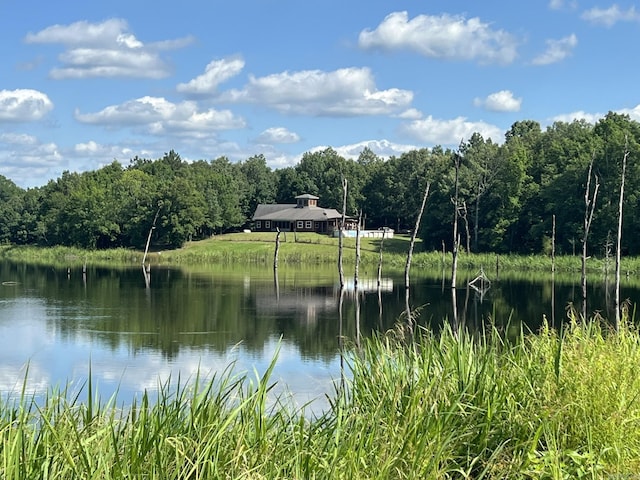 5942 Joey Ln, Texarkana, AR 71854 - water view featuring a heavily wooded area