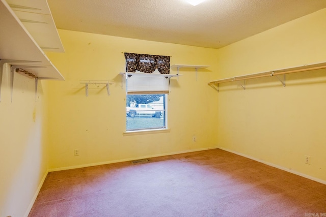 337 Lance Cir, Hot Springs, AR 71901 - walk in closet with carpet flooring