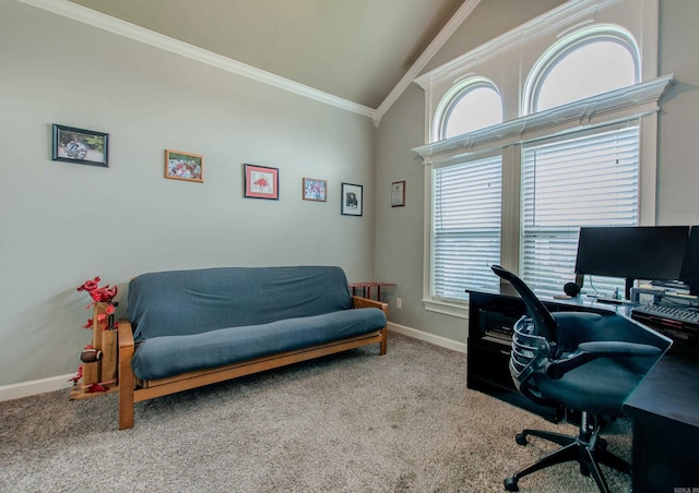 2148 Avondale Dr, Benton, AR 72019 - carpeted office featuring crown molding and high vaulted ceiling
