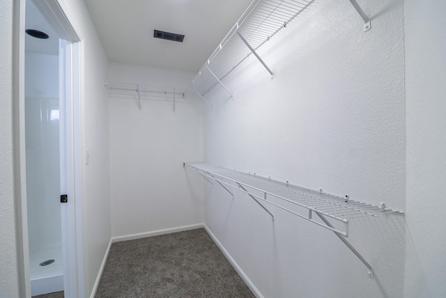 1206 Ryan Ln, Paragould, AR 72450 - walk in closet featuring carpet