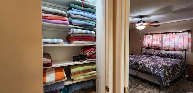 1000 Waverly Rd, Mountain Home, AR 72653 - view of closet