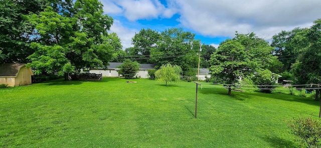 1000 Waverly Rd, Mountain Home, AR 72653 - view of grassy yard with a storage unit
