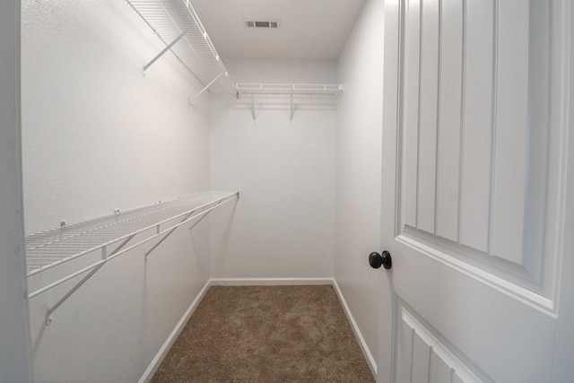 spacious closet with carpet