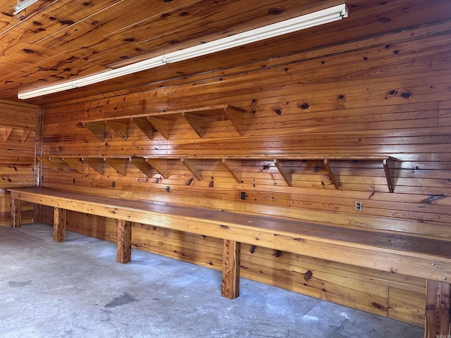 detailed view of a sauna, wood walls, and carpet floors