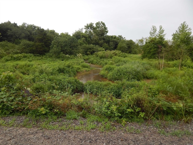 Crockett Rd, Rose Bud, AR 72137