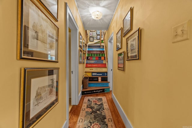 445 Midland St, Little Rock, AR 72205 - corridor featuring wood finished floors