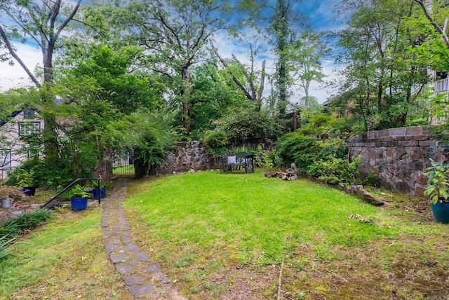 445 Midland St, Little Rock, AR 72205 - view of yard