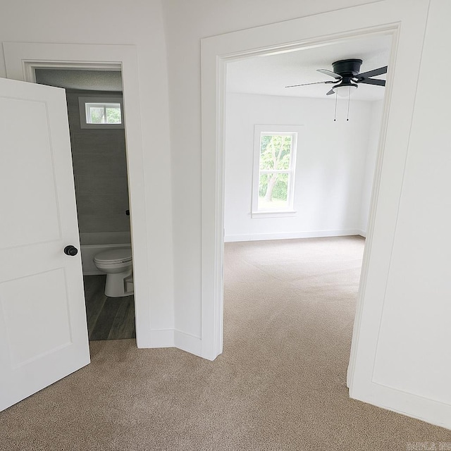 8200 W 34th St, Little Rock, AR 72204 - corridor with carpet floors and plenty of natural light