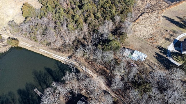 7 Little Pond Dr, Mountain View, AR 72560