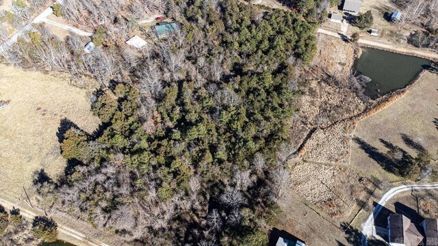 7 Little Pond Dr, Mountain View, AR 72560