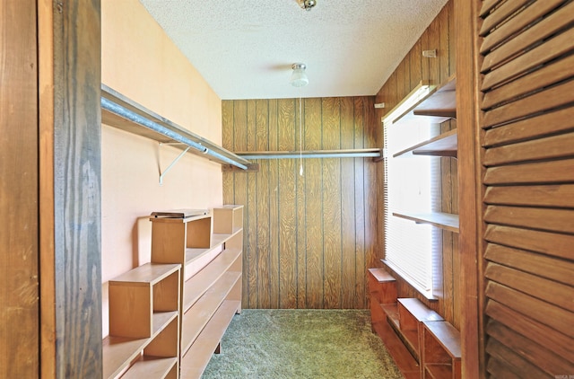 6 Elaine Rd, Sheridan, AR 72150 - spacious closet featuring carpet flooring