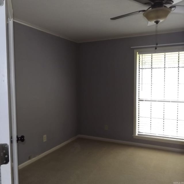carpeted spare room featuring ceiling fan, crown molding, and healthy amount of natural light