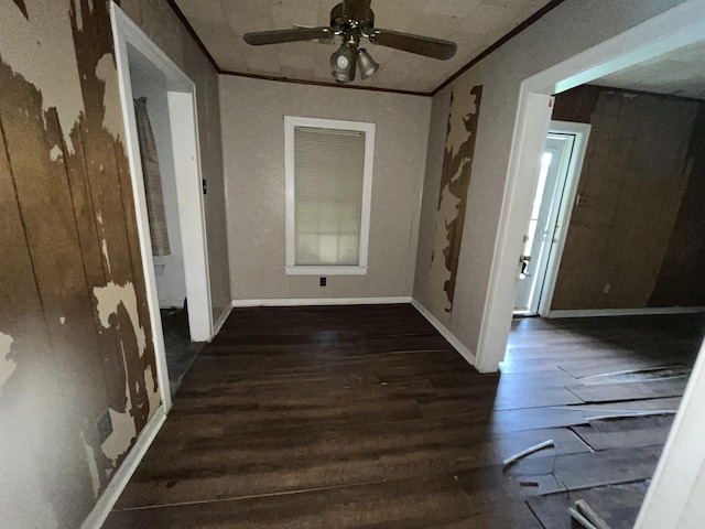 empty room featuring wood finished floors and a ceiling fan