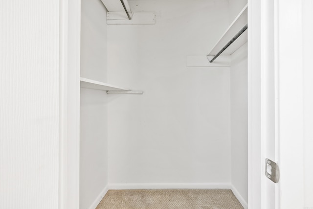 10301 Milkyway Dr, Little Rock, AR 72209 - spacious closet featuring carpet flooring and attic access