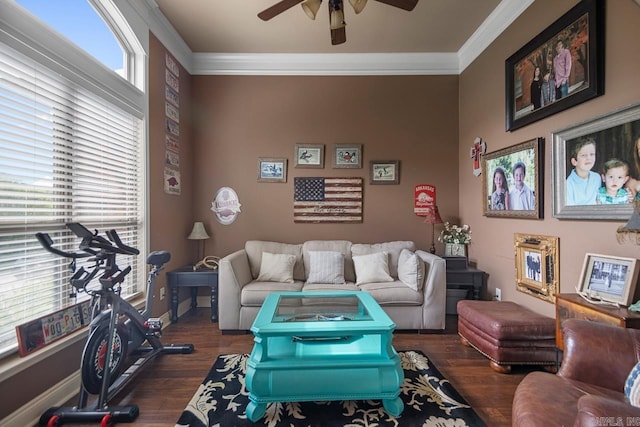 909 Nature Way, Benton, AR 72019 - living room featuring ceiling fan, ornamental molding, and wood finished floors