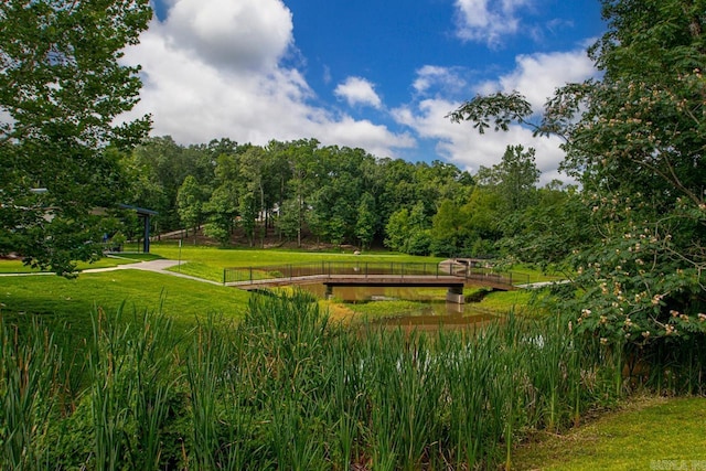 909 Nature Way, Benton, AR 72019 - view of community with a lawn