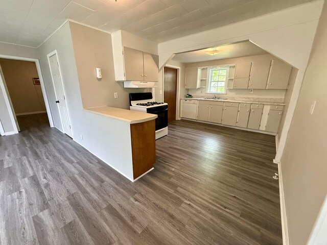 131 N Pine St, Salem, AR 72576 - kitchen featuring white range with gas cooktop, light countertops, dark wood-type flooring, and a peninsula