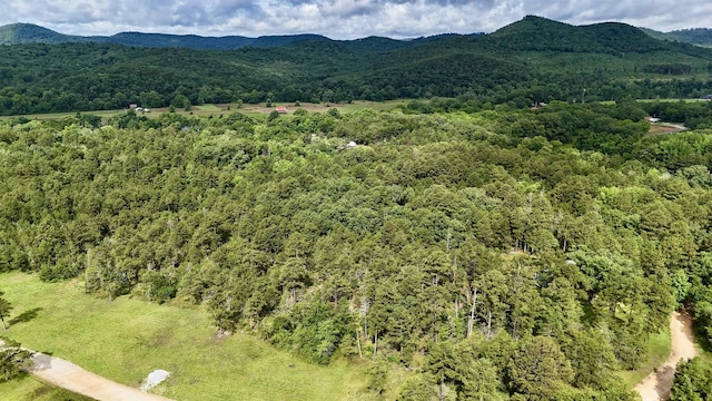 400 Tree Farm Rd, Melbourne, AR 72556