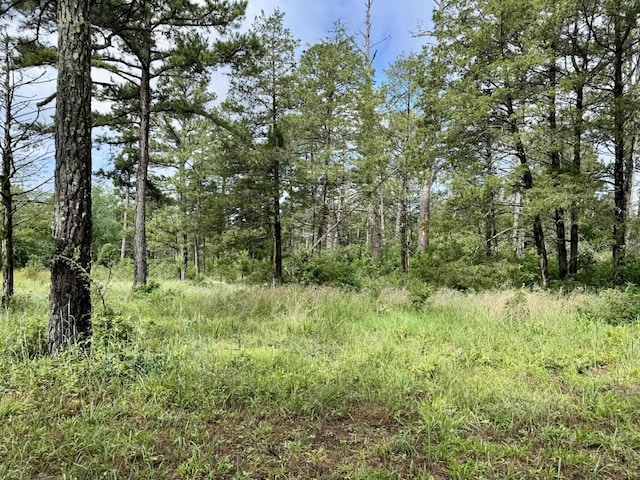 400 Tree Farm Rd, Melbourne, AR 72556